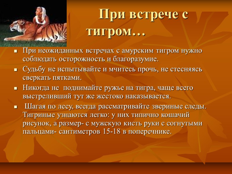 При встрече с тигром… При неожиданных встречах с амурским тигром нужно соблюдать осторожность и